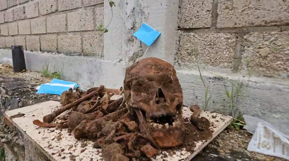 Foto: Madres Buscadoras de Jalisco