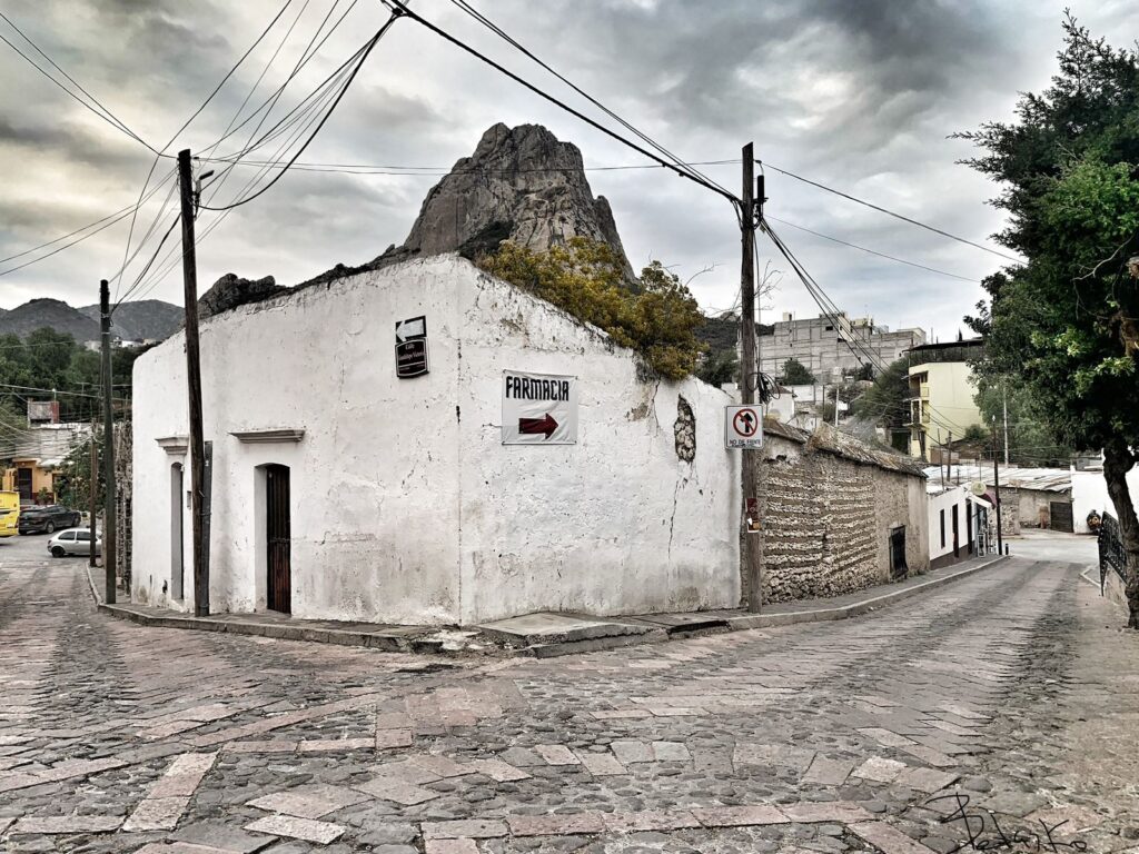 El fin de invierno del patriarca en su guarida de Tlapalpa